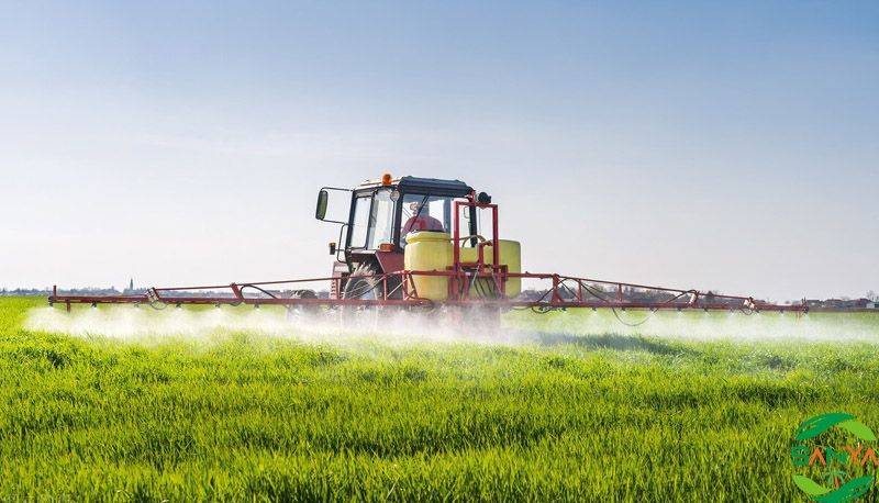 2023年中國(guó)肥料農(nóng)藥行業(yè)市場(chǎng)規(guī)模及未來(lái)發(fā)展趨勢(shì)分析