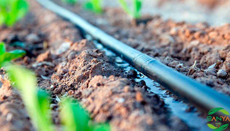 為什么提倡大田節(jié)水灌溉，現(xiàn)代農(nóng)業(yè)大田節(jié)水灌溉如何實(shí)現(xiàn)?