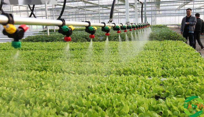 如何應(yīng)用智慧農(nóng)業(yè)技術(shù)推動(dòng)精準(zhǔn)農(nóng)業(yè)發(fā)展