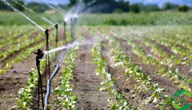 如何運(yùn)用智慧農(nóng)業(yè)系統(tǒng)提高農(nóng)業(yè)的生產(chǎn)效率和效益？