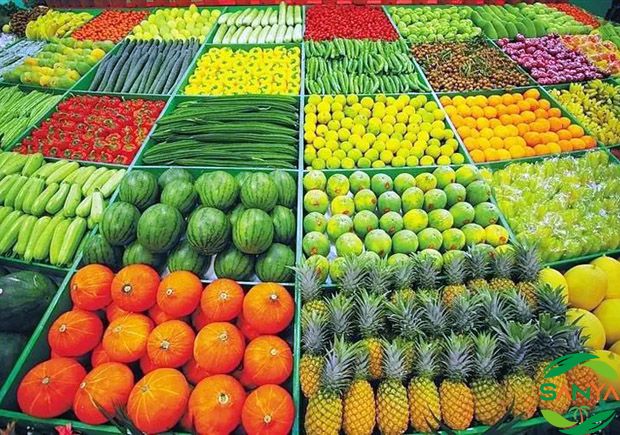 2024海南農(nóng)業(yè)展有哪些