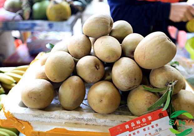 海南植保信息交流暨農(nóng)業(yè)設施展覽會