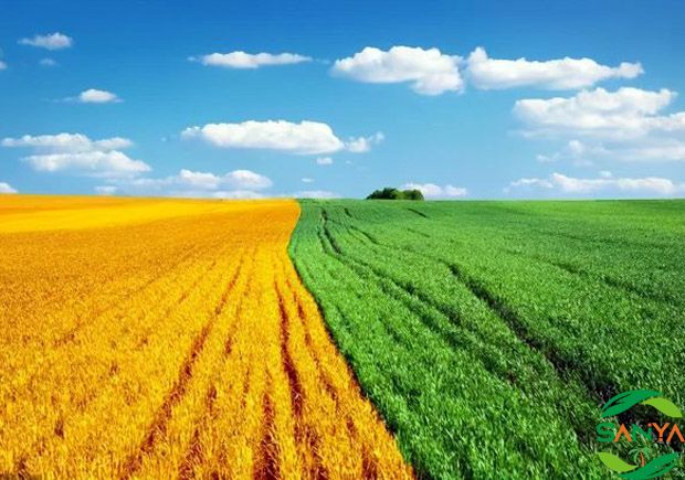 2024海南農(nóng)藥化肥展