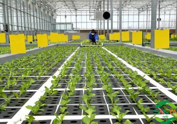 2024年智慧農(nóng)業(yè)展