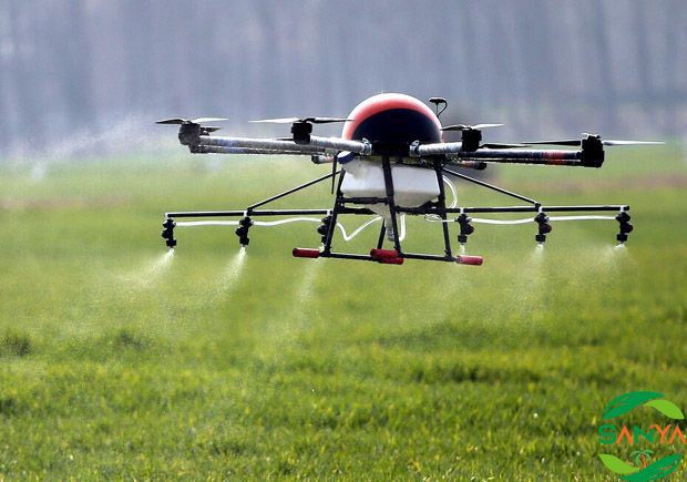 中國現(xiàn)代高效農(nóng)業(yè)發(fā)展的未來趨勢是什么