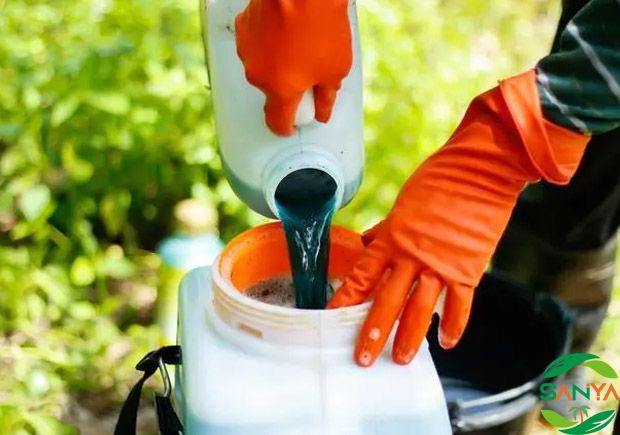 我國(guó)農(nóng)業(yè)高新技術(shù)發(fā)展的現(xiàn)狀如何