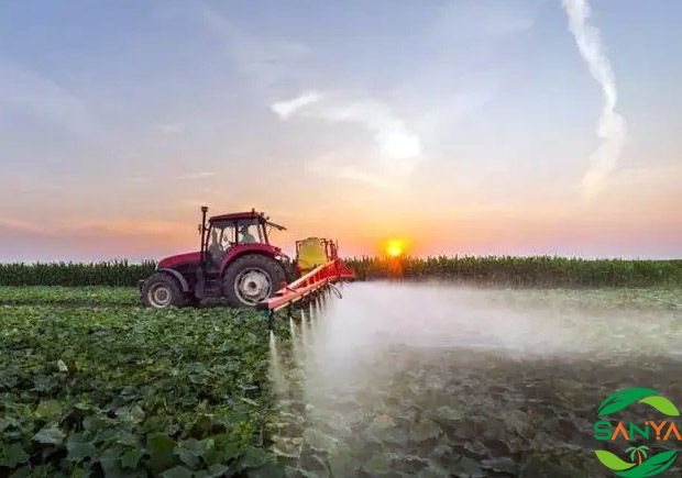 中國農(nóng)業(yè)農(nóng)村現(xiàn)代化的發(fā)展面臨哪些挑戰(zhàn)