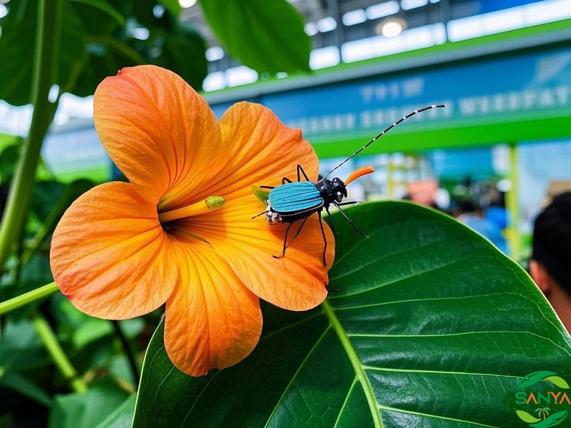 2025海南植保會(huì)舉辦時(shí)間和地點(diǎn)