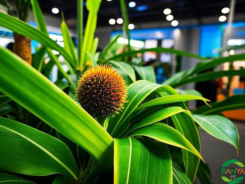 2025年現(xiàn)代智慧農(nóng)業(yè)的發(fā)展趨勢(shì)