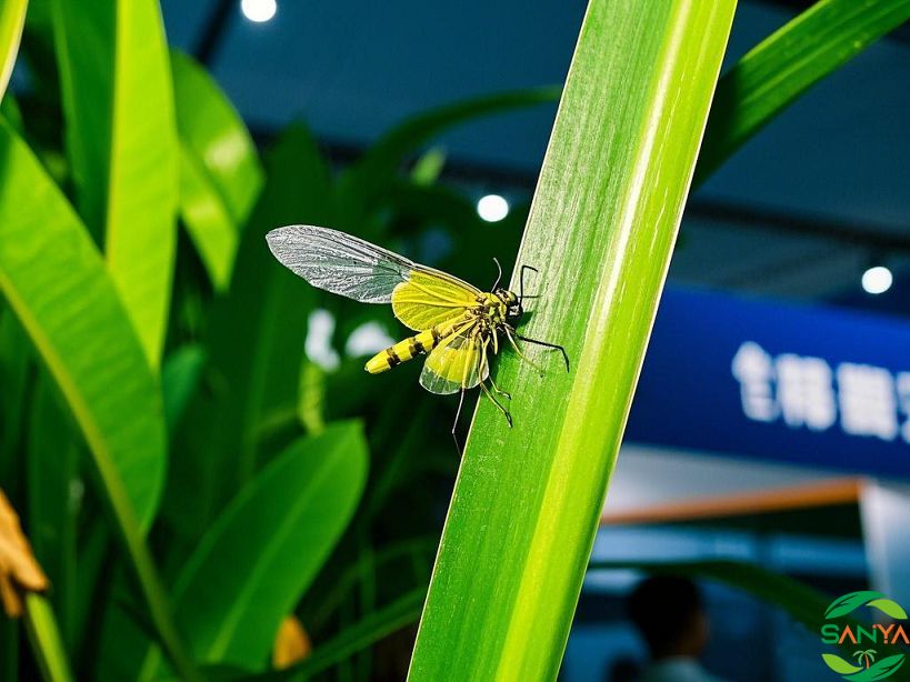 海南農(nóng)博會(huì)期間三亞保利國際博覽中心周邊的酒店預(yù)訂情況