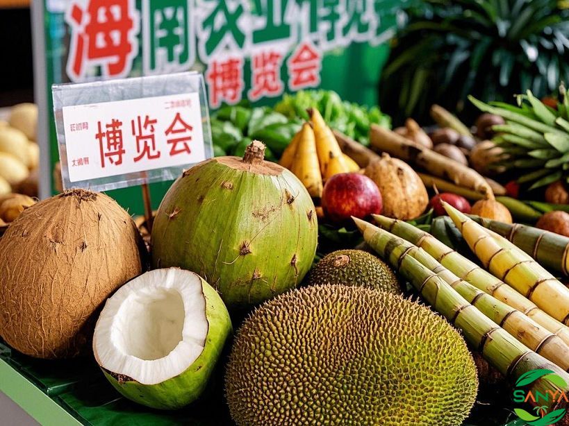 海南2025年有哪些展會(huì)